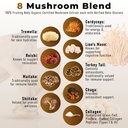 powdervitamin-organic-mushroom-coffee-ce-3.jpg