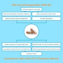 nutricelebrity-optimal-stress-relief-sup-5.jpg