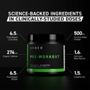 kaged-original-pre-workout-powder-krisp--2.jpg