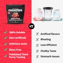 gains-in-bulk-intantized-creatine-bundle-3.jpg