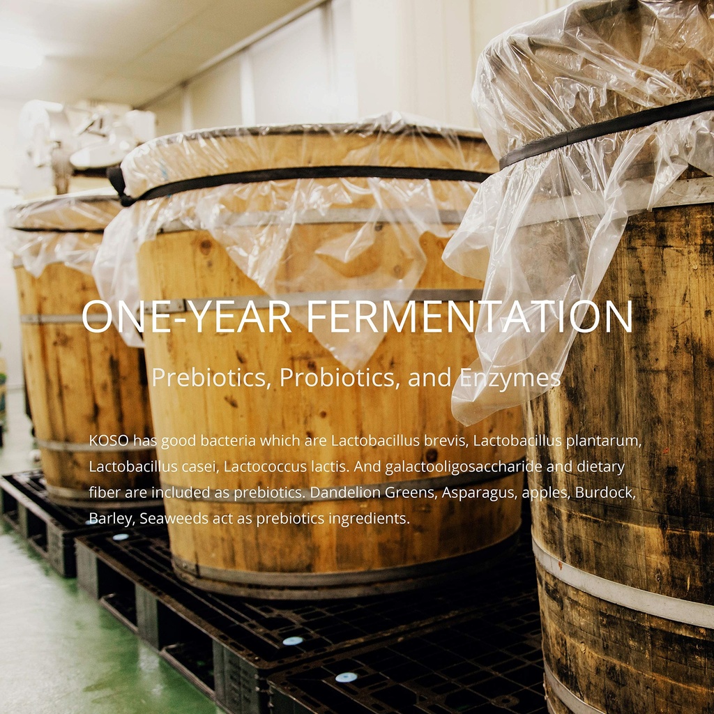r-s-koso-5-day-cleanse-japanese-enzyme-d-3.jpg