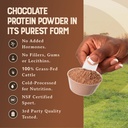 100-grass-fed-whey-chocolate-protein-pow-3.jpg