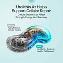 urolithin-a-supplement-1000mg-180ct-99-p-4.jpg