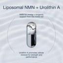 infiniwell-cellular-energy-pro-urolithin-2.jpg