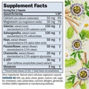 andrew-lessman-night-time-360-capsules-3-2.jpg