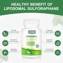 550mg-liposomal-sulforaphane-from-brocco-4.jpg