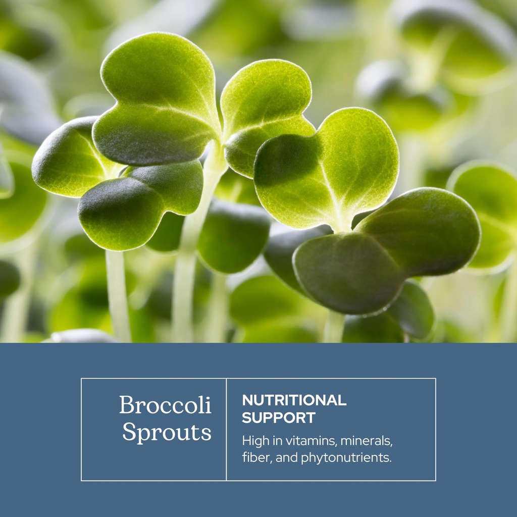 eclectic-herb-organic-broccoli-sprouts-c-3.jpg