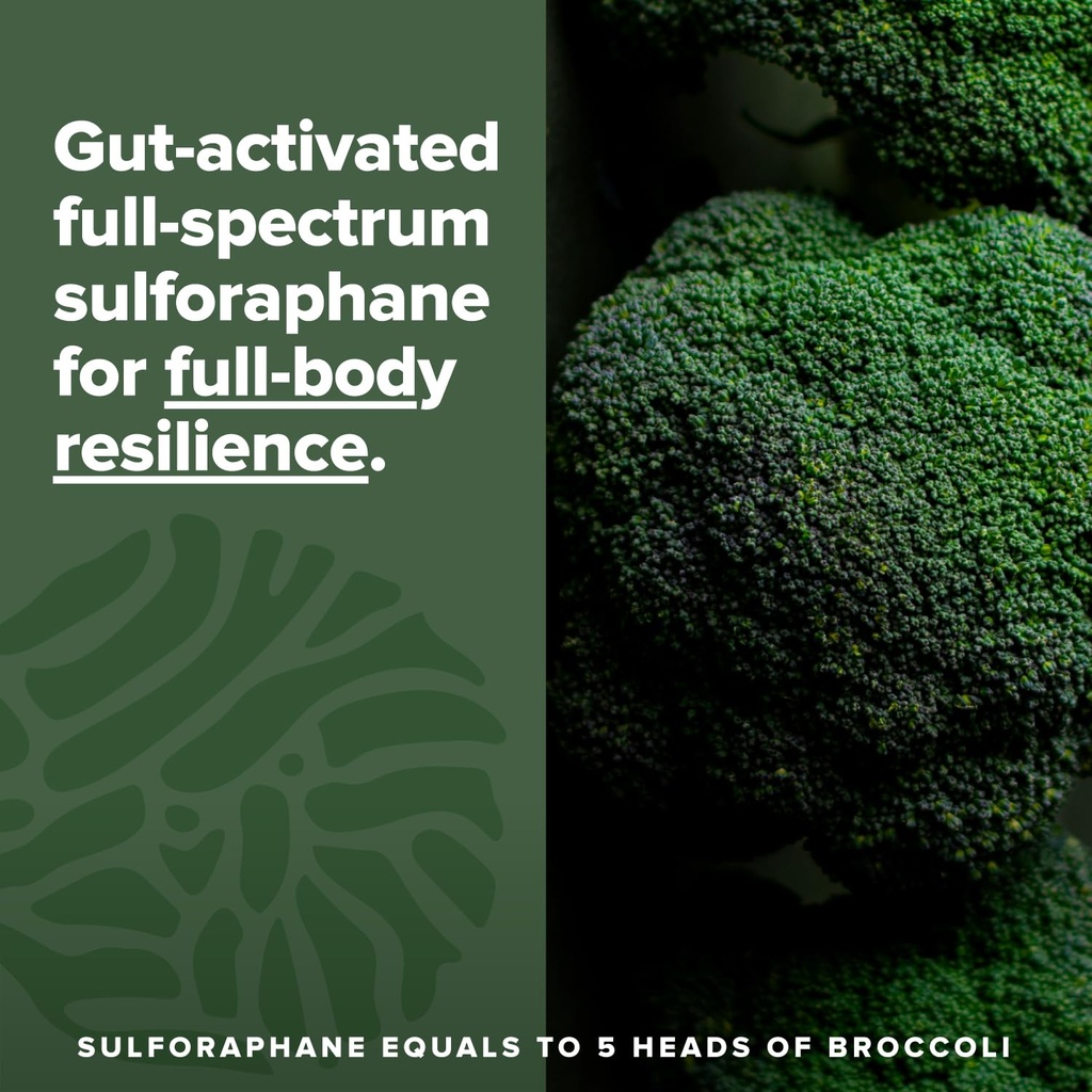 complement-sulfora-essential-multivitami-5.jpg