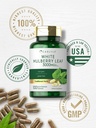 carlyle-mulberry-leaf-extract-100-capsul-5.jpg