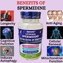 liposomal-spermidine-quercetin-fisetin-8-5.jpg