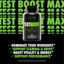 sculpt-nation-by-v-shred-t-boost-max-bur-2.jpg