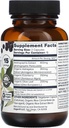organifi---critical-immune---superfood-i-2.jpg