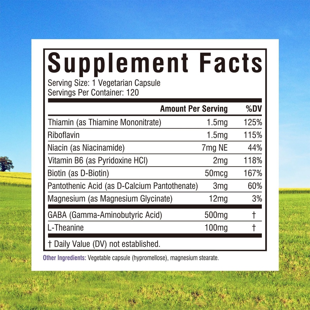 innate-vitality-gaba-supplements-l-thean-2.jpg