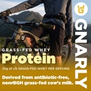 gnarly-nutrition-performance-greens-blue-3.jpg