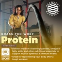 gnarly-nutrition-performance-greens-lemo-2.jpg