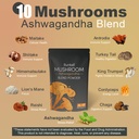 bunkell-ashwagandha-mushroom-powder-adap-3.jpg