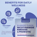 blueberry-superfood-powder-nicotinamide--3.jpg