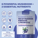 blueberry-superfood-powder-nicotinamide--2.jpg