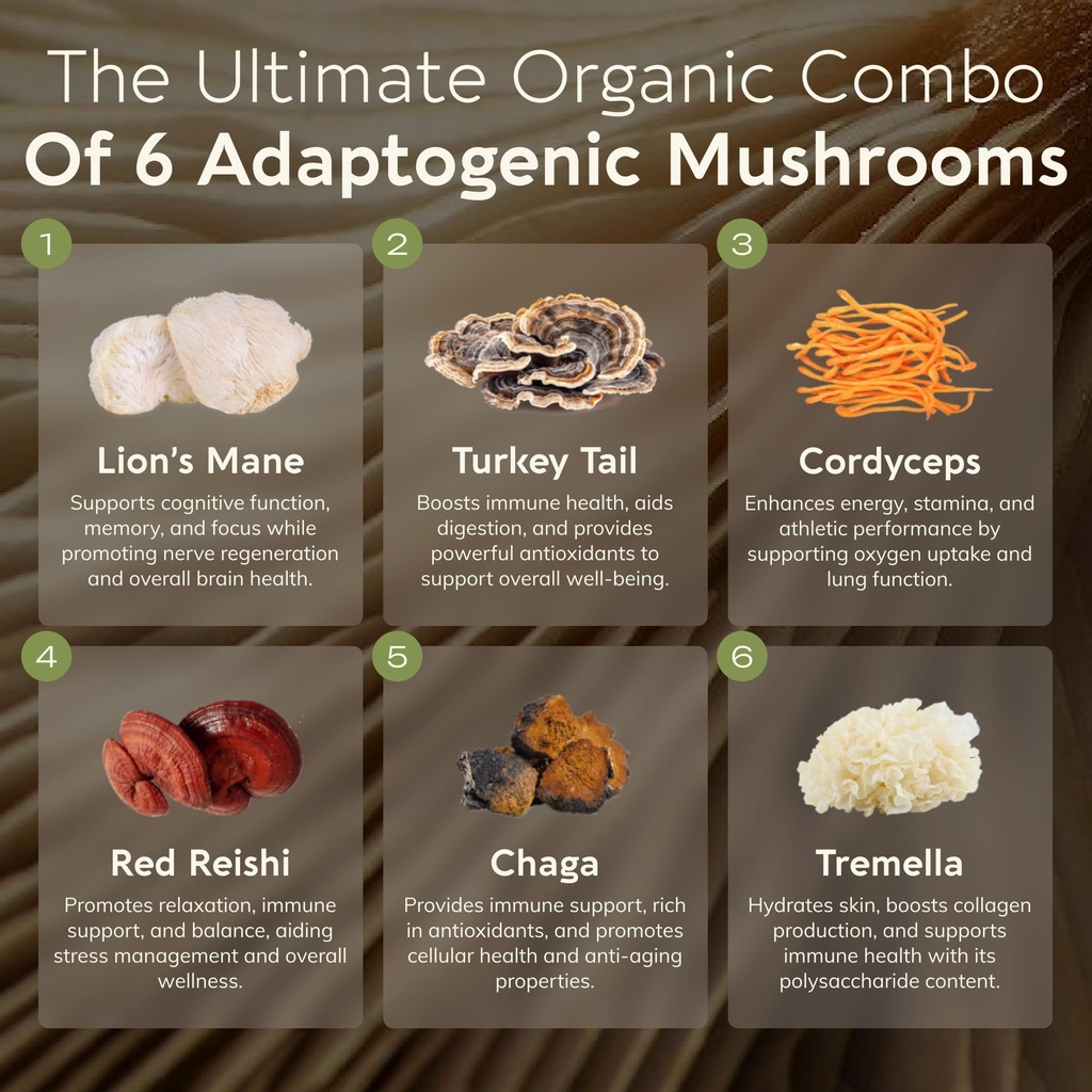 organic-super-six-mushroom-powder-supple-2.jpg