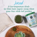 garden-of-life-raw-organic-perfect-food--3.jpg