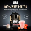 animal-100-whey-protein-powder-whey-blen-2.jpg