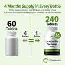 lactobacillus-plantarum-probiotic-240-ta-5.jpg