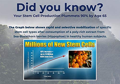 stem-cell-release-factor-aging-and-stem--5.jpg