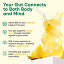 venture-pal-2-in-1-hydration-packets-gut-5.jpg