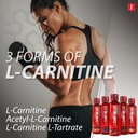 isatori-l-carnitine-ls3-grape-1500mg-32--4.jpg
