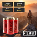 4-gauge-natural-preworkout-without-the-j-4.jpg