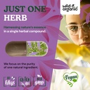 wild-organic-vitex-chasteberry-capsules--5.jpg