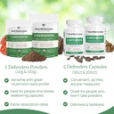 real-mushrooms-hot-chocolate-mix-15srv-5-5.jpg
