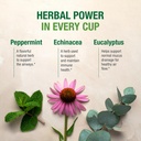 bell-ezee-breathing-tea-bags-respiratory-4.jpg