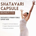 shatavari-capsules-1000mg-90-veg-capsule-4.jpg