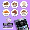 owlryze-mushroom-coffee-focus-with-cocon-3.jpg