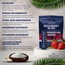 regulate-wild-berry-bliss-electrolyte-dr-5.jpg