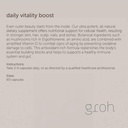 groh-daily-vitality-boost-all-natural-ha-3.jpg