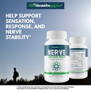 nerve-cactus-trick-our-best-b12-nerve-re-6.jpg