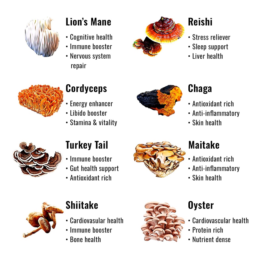 mushroom-gummies-nootropic-adaptogenic-w-5.jpg