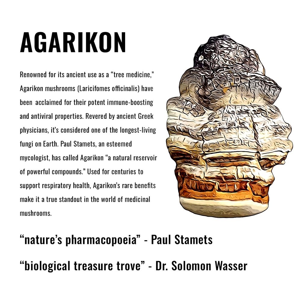 mushroom-gummies-nootropic-adaptogenic-w-6.jpg