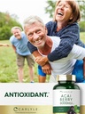 carlyle-acai-berry-supplement-250-capsul-6.jpg