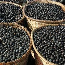 acai-berry-complex-acai-supplement-acai--6.jpg