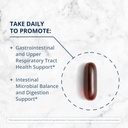 metagenics-bundle-candibactin-br-90-tabl-4.jpg