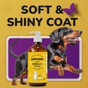 omega-3-fish-oil-for-dogs-skin-and-coat--5.jpg