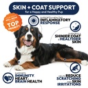 omega-3-fish-oil-for-dogs-170-chews-omeg-4.jpg