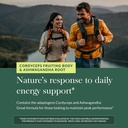 gaia-herbs-adaptogen-performance-energy--5.jpg