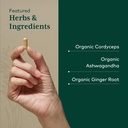 gaia-herbs-pro-adaptogen-performance-end-4.jpg