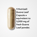 guava-leaf-extract-with-bitter-melon-100-2.jpg
