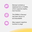 nutramax-denosyl-liver-and-brain-health--4.jpg