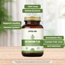 artemisinin-plus-sweet-wormwood-extract--3.jpg